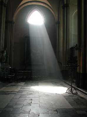 Piła ubojnia drobiu