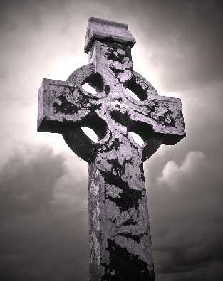 ubojnia drobiu woj. pomorskie