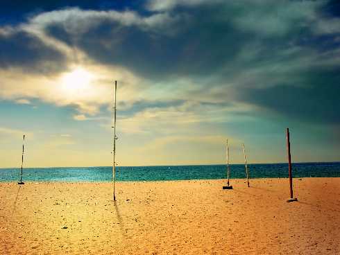 woj. kujawsko pomorskie ubojnia kur