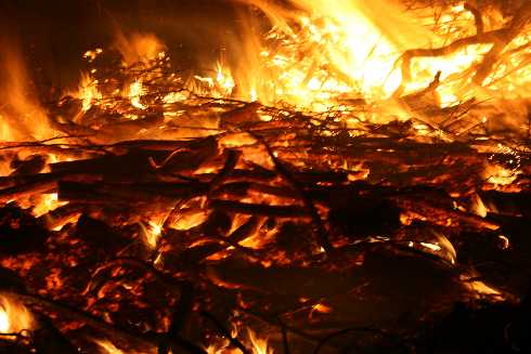 kurczaki hurt Ostrów Wielkopolski