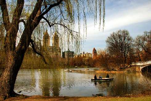 ubojnie drobiu Wielkopolskie ubojnie drobiu Wielkopolskie