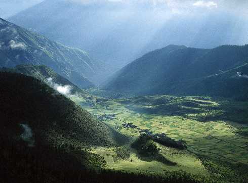 ubojnia drobiu Wielkopolskie