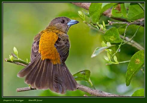 woj. warmińsko mazurskie ubojnia drobiu