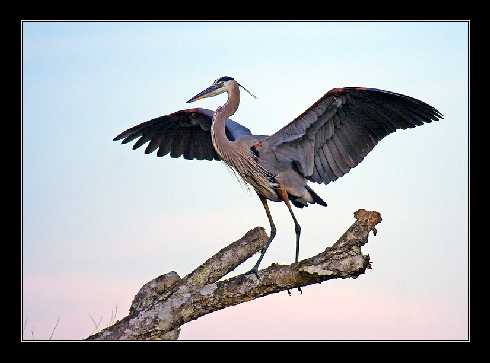 rzeźnia drobiu woj. kujawsko pomorskie