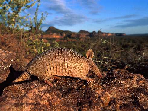 województwo warmińsko mazurskie ubojnia kurczaków