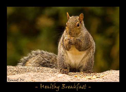 ubojnia drobiu w Wielkopolsce