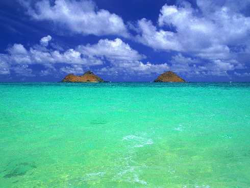 hurtownia drobiu Sieraków