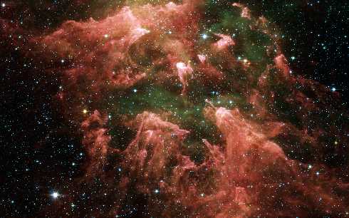 Piła ubojnia drobiu