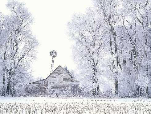 mazowieckie ubojnia kur