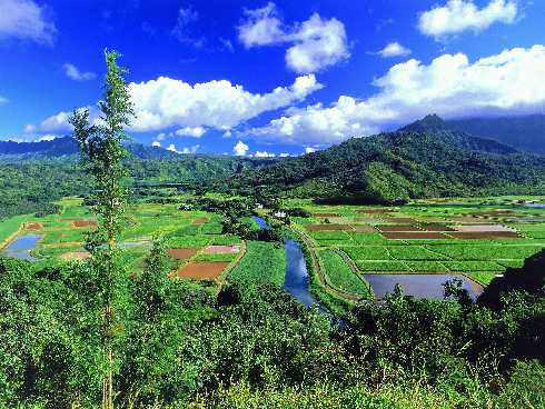 ubojnia drobiu popularna