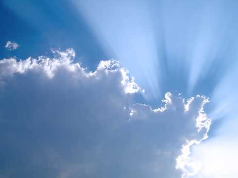 Koszalin pałki z kurczaka