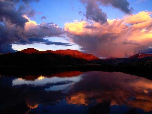 woj. Zachodniopomorskie ubojnie kur