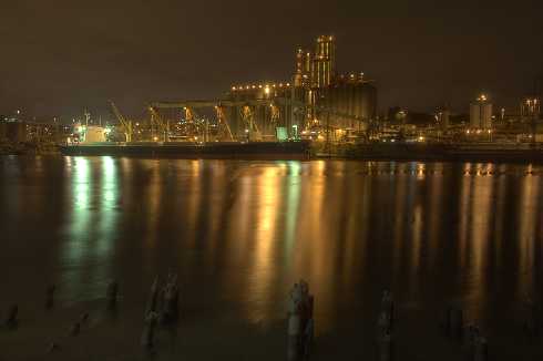 kurczaki Toruń cena