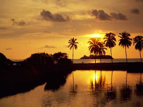 podlaskie rzeźnie kurczaków