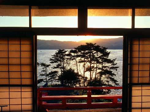 kurczaki hurt Złotów