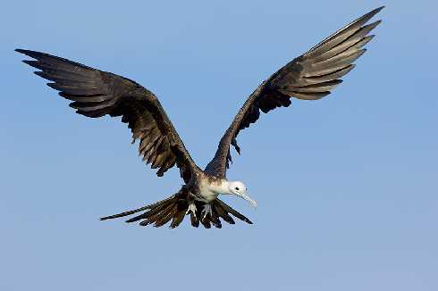 woj. opolskie ubojnia drobiu