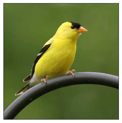 Piła ubojnia drobiu