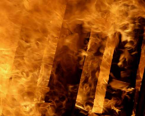 Wielkopolska ubojnia drobiu