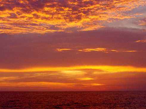 ubojnie kur województwo śląskie