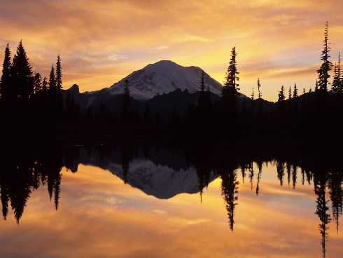 hurtownia drobiu Września