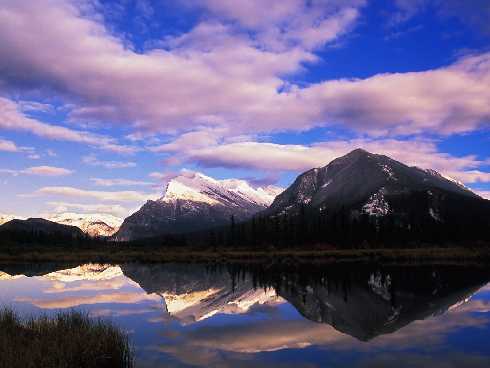 Wielkopolska Ubojnia drobiu