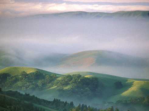 Chrustowo ubojnia drobiu