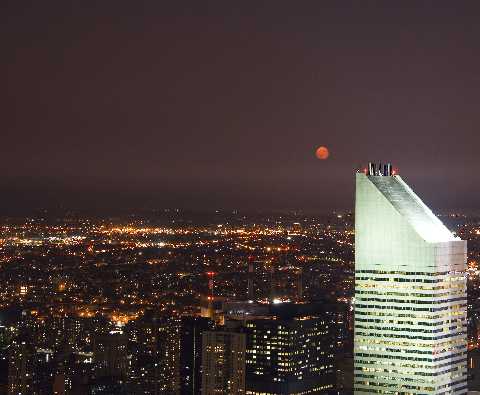 Piła ubojnia drobiu