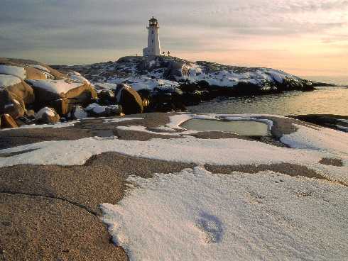 rzeźnia kurczaków warmińsko mazurskie