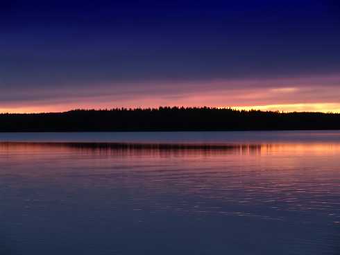 ubojnia kur woj. śląskie