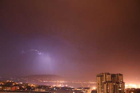 Wielkopolska ubojnia drobiu