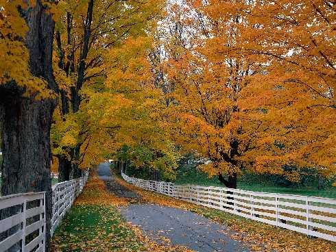 województwo lubelskie ubojnia kur