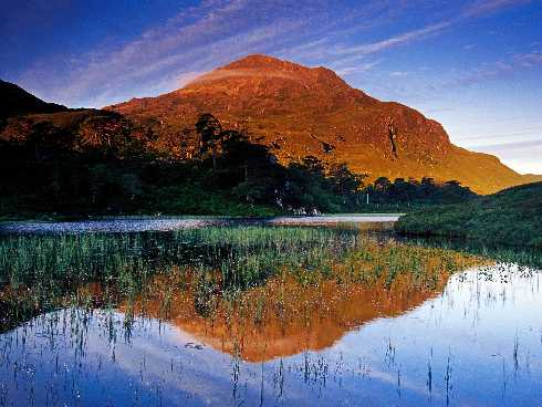 ubojnie drobiu Wielkopolska