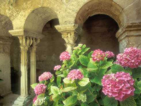 ubojnia drobiu Piła