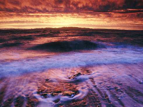 ubojnia drobiu woj. podkarpackie