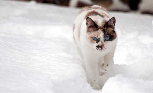 ubojnia drobiu w Wielkopolsce