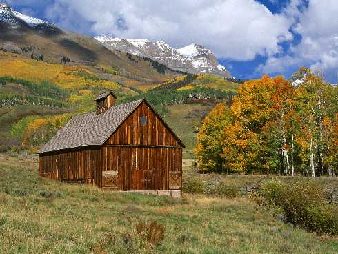 najpopularniejsza ubojnia drobiu
