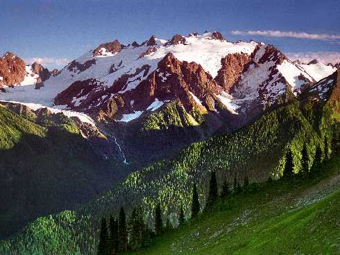 ubojnia kurczaków tanio