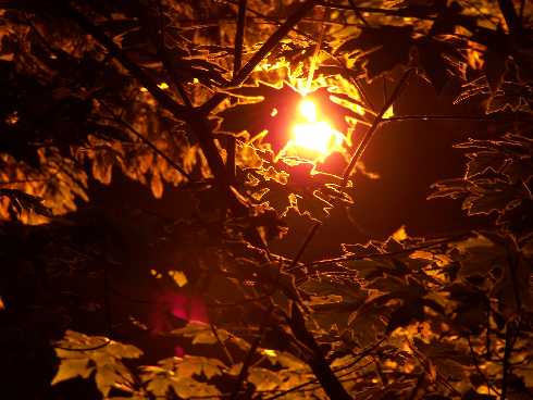 ubojnia drobiu Wielkopolska