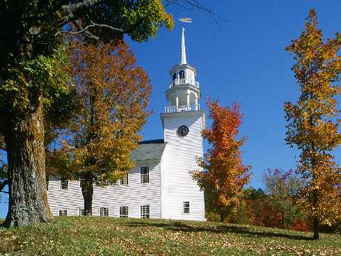 dolnośląskie rzeźnia kurczaków