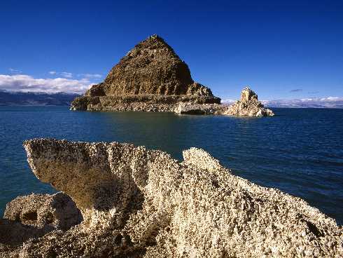 najlepsza ubojnia drobiu