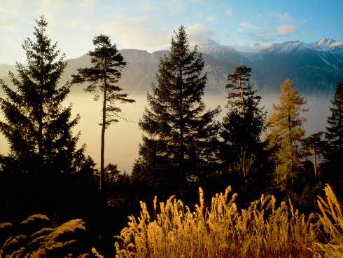 ubojnie drobiu woj. lubuskie