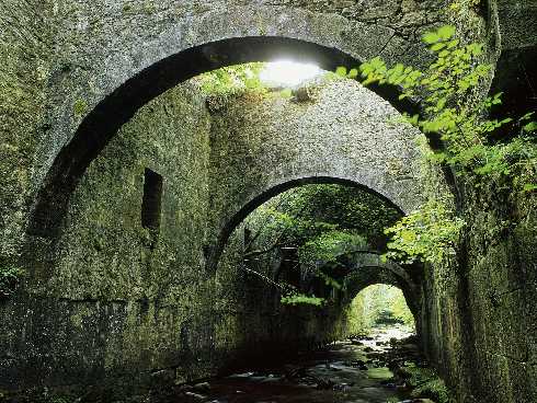 woj. opolskie ubojnie kur