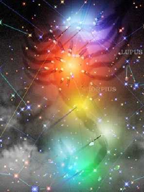 ubojnia kurczaków woj. kujawsko pomorskie