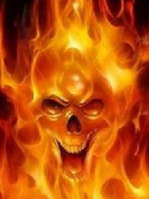 Toruń filety z kurczaka