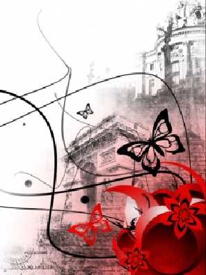 ubojnia kurczaków warmińsko mazurskie