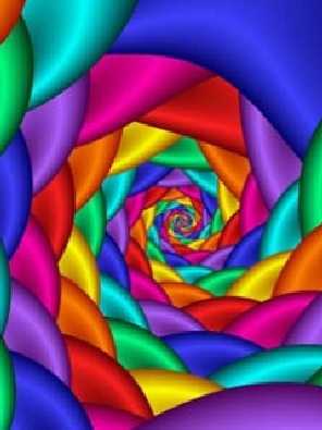 wielkopolskie ubojnie kur