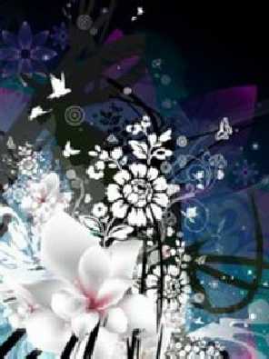 ubojnia drobiu w Pile