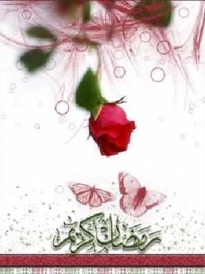 ubojnia drobiu woj. łódzkie