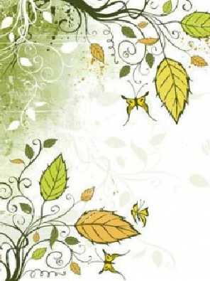 warmińsko mazurskie ubojnie kur