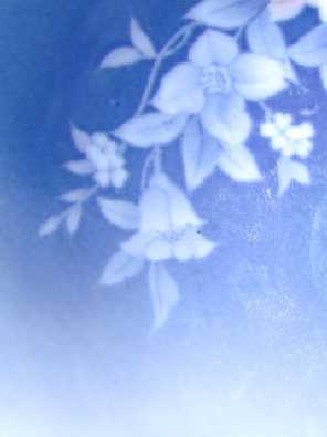 łódzkie rzeźnia kurczaków